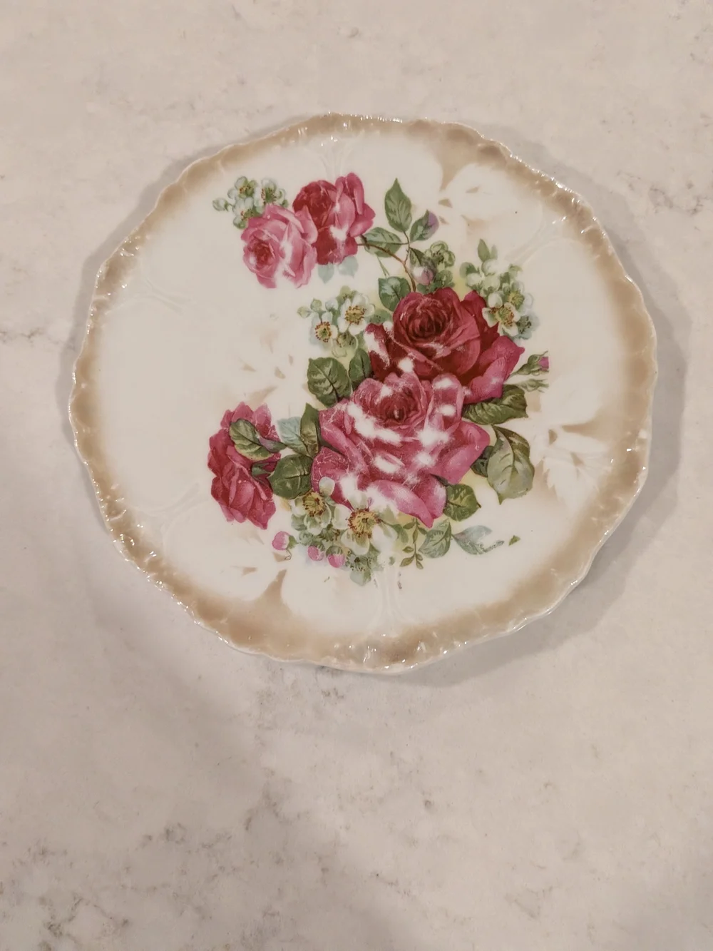 Floral Rose Decorative Porcelain Plate 6.5